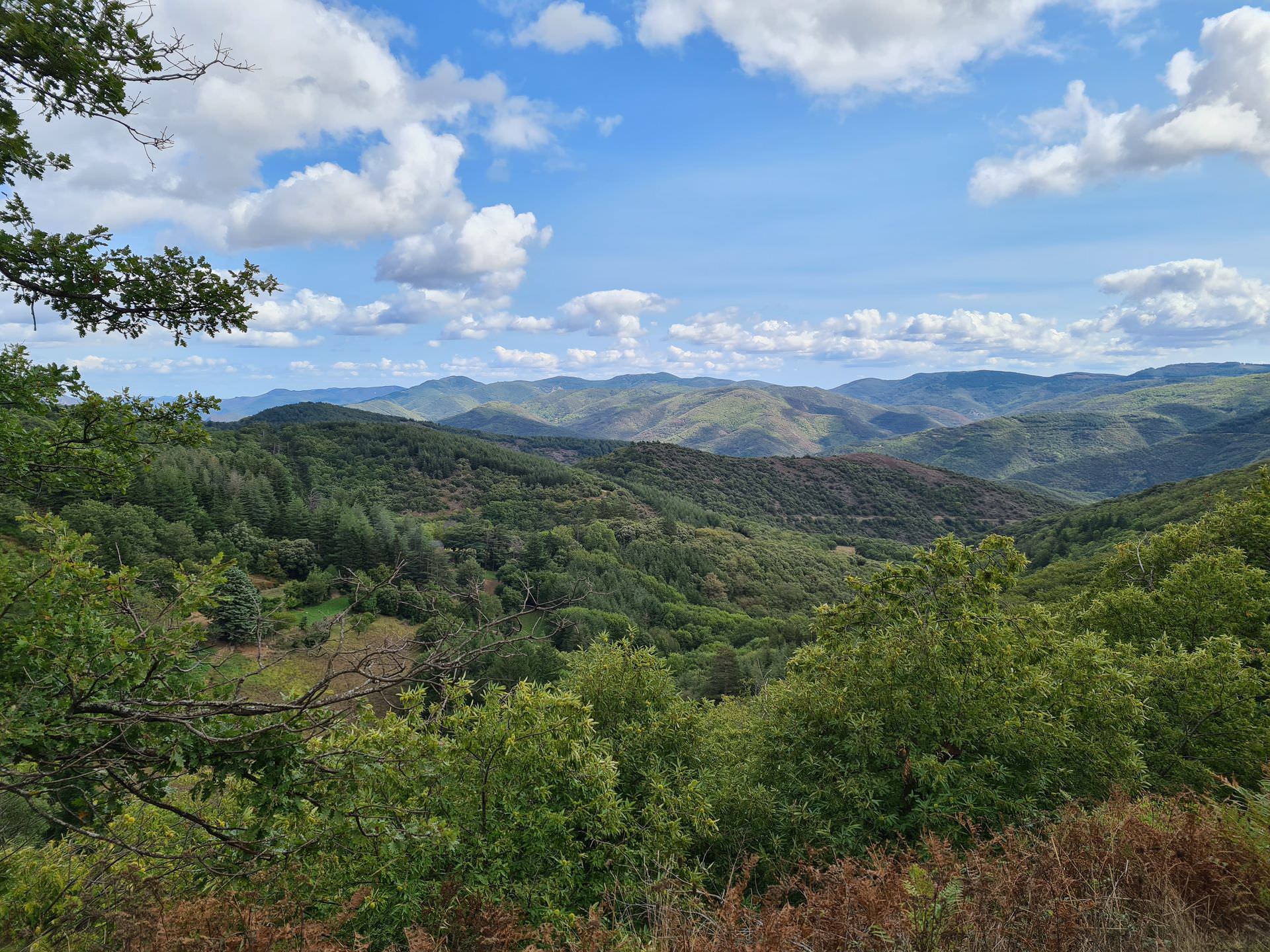 Panorama sur la montagne du Haut-Languedoc © Hérault Tourisme
