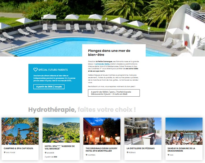 Page illustrant le site web d'Hérault Tourisme