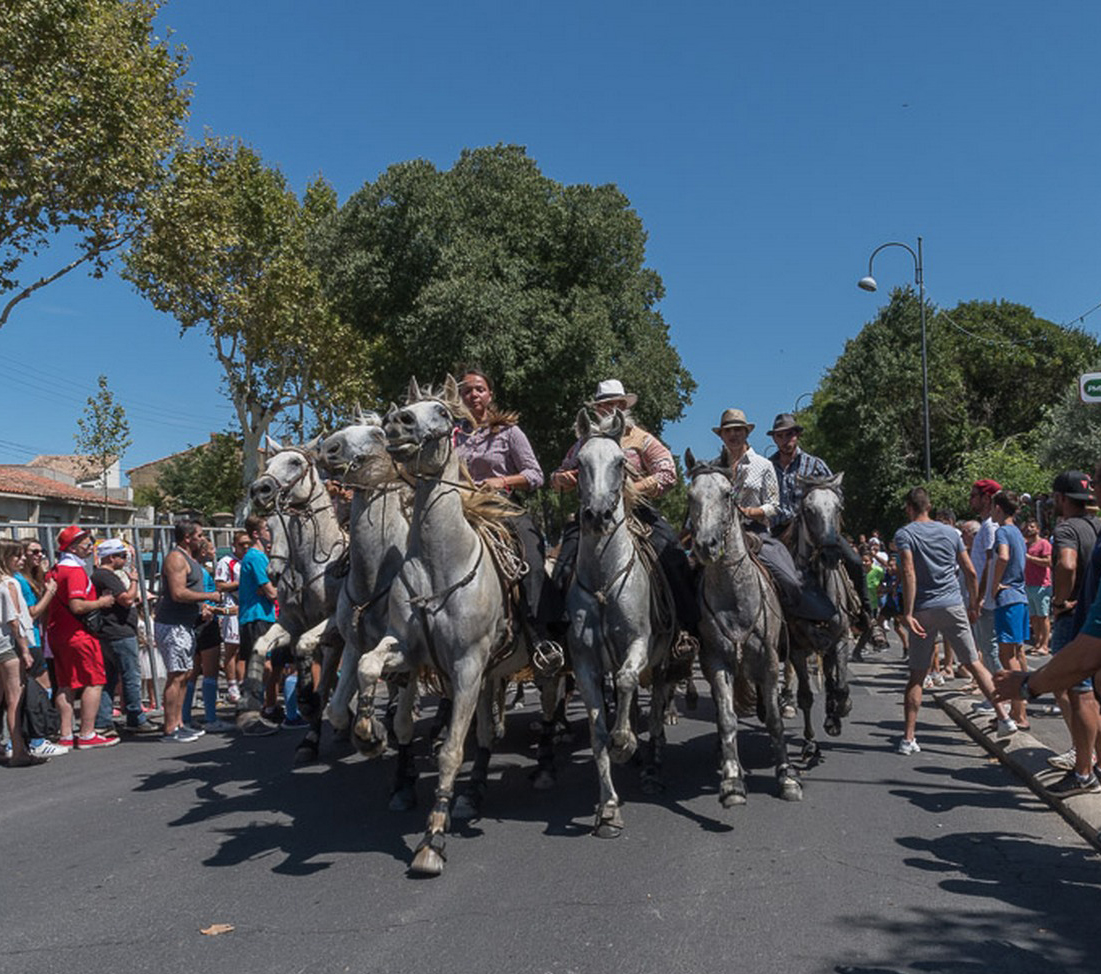 Traditions Camarguaises