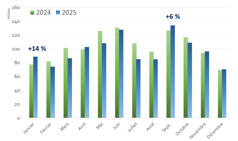 Nuitées clientèles affaires entre 2024 et 2025 - HOTEL / INSEE