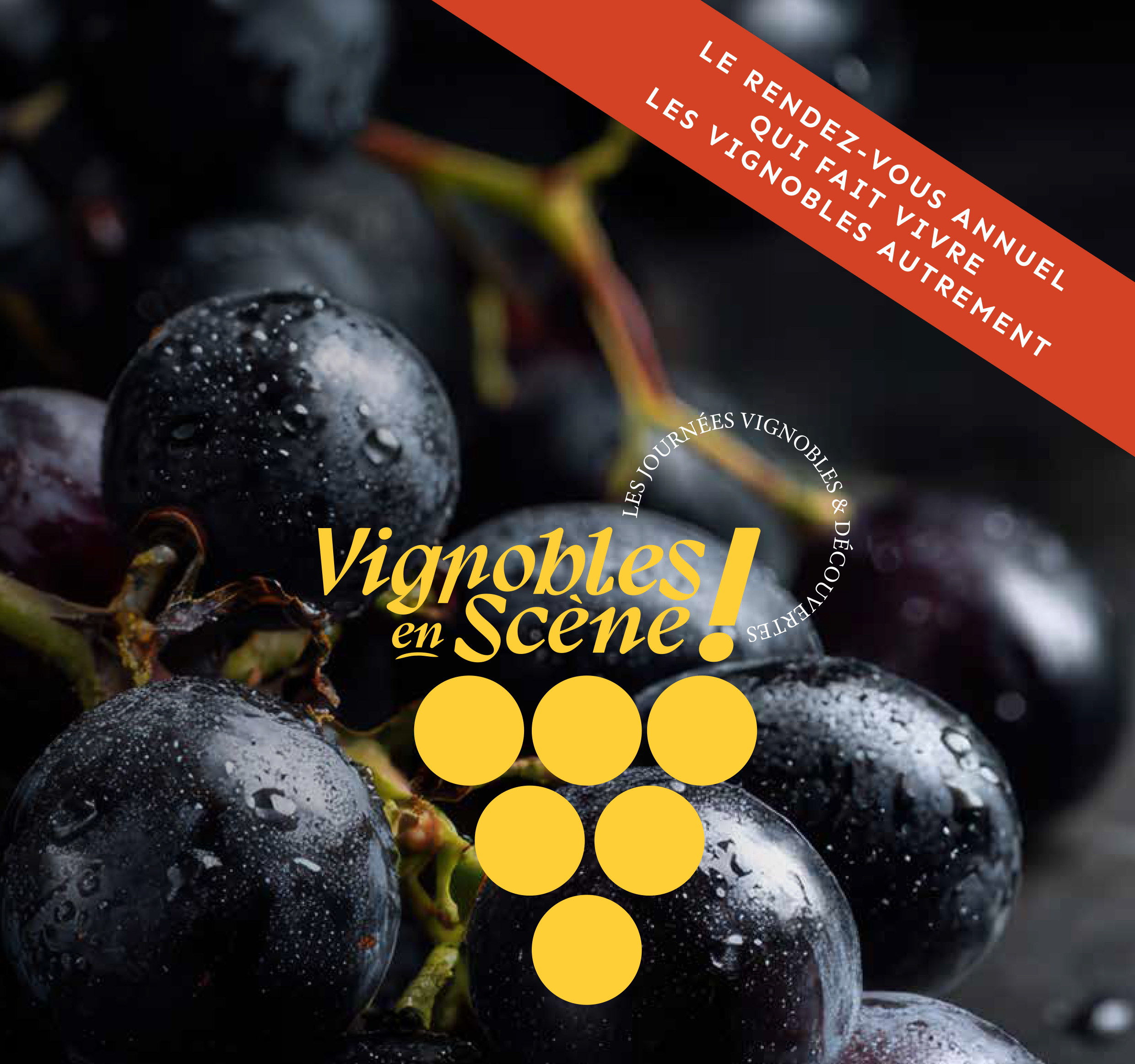 Languedoc Region to Host Second Vignobles en Scène